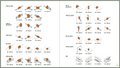 Exothermic Joints